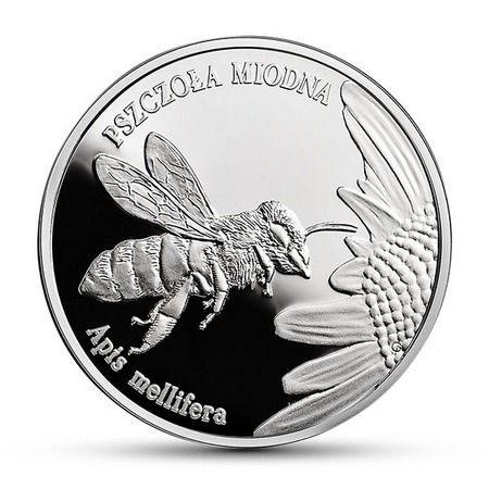 Zwierzęta świata - Pszczoła miodna